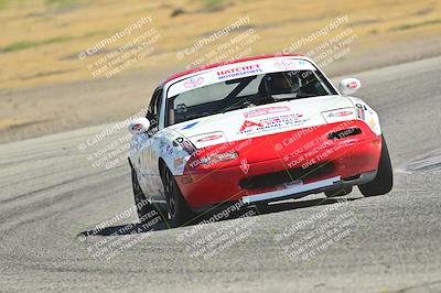 media/May-24-2025-Turn8 Trackdays (Sat) [[034586b55d]]/1 Advanced 2/Session 2 (Cotton Corners-Grapevine)/